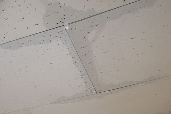 雨漏りの初期症状：天井から水滴が落ちてくる